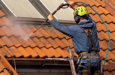 Démoussage et hydrofuge de toiture à Lugasson